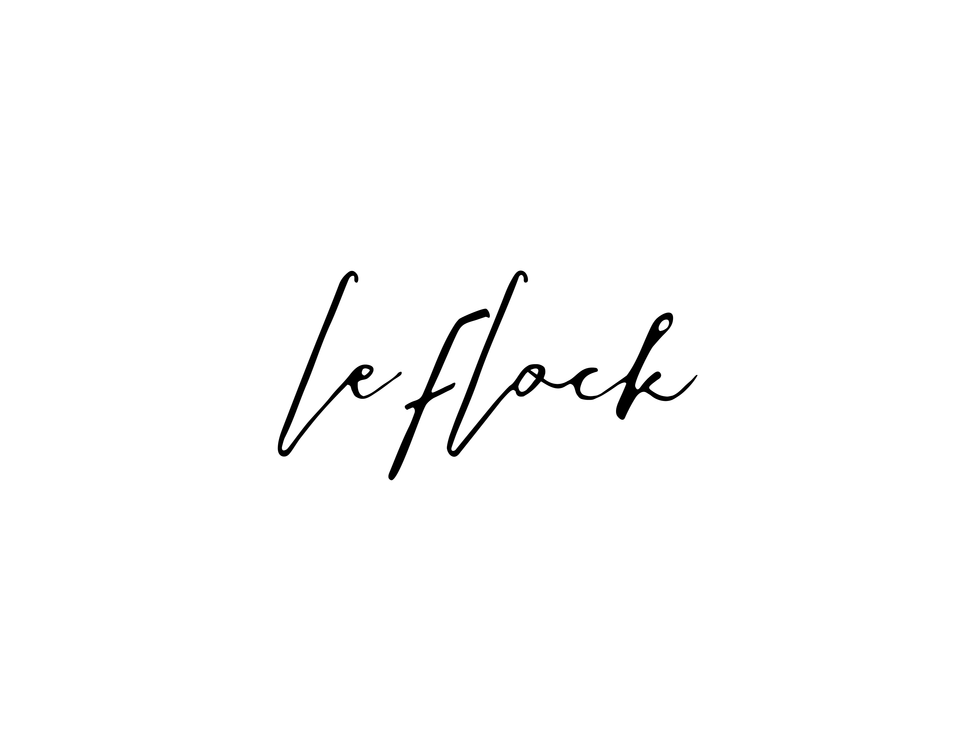 Logo LeFlock-02